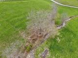 1332 Paris Road - Photo 33