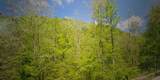 0 Wolf Creek Road - Photo 4