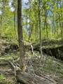 1820 Sulphur Springs Hollow Road - Photo 15