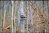 0 Morrill Kerby Knob Road - Photo 12