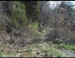 0 Morrill Kerby Knob Road - Photo 2