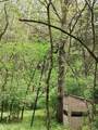 88 Persimmon Ridge Road - Photo 23
