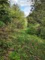88 Persimmon Ridge Road - Photo 27
