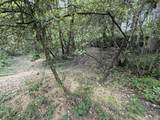 9991 Summer Springs Drive - Photo 17
