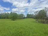 110 Witzel's Way - Photo 5