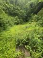 00 Ky 66/Hendron Hill - Photo 10