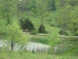 002 Buckler Lane - Photo 1