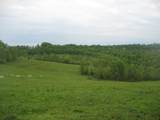 003 Buckler Lane - Photo 2
