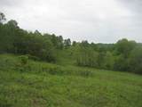 003 Buckler Lane - Photo 4