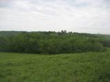 003 Buckler Lane - Photo 9