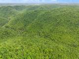 9999 Little Beech Creek Road - Photo 13