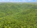 9999 Little Beech Creek Road - Photo 9
