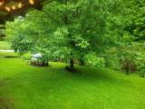 523 Bullskin Branch Road - Photo 13