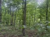 169-Acres Land Greasy Ridge - Photo 16