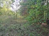 0000 Upper Racoon Creek Road - Photo 16