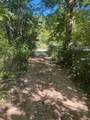 1285 TBD Halsey Fork - Photo 4