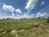 Tract 7 Pittsburg Landing - Photo 8