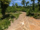 Tract Bend Of The Lake Road - Photo 16