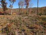Tract Bend Of The Lake Road - Photo 19
