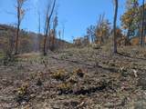 Tract Bend Of The Lake Road - Photo 23