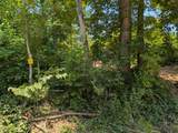 Tract Bend Of The Lake Road - Photo 5
