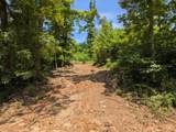 Tract Bend Of The Lake Road - Photo 6