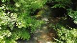 00 TBD Long Shoal Branch - Photo 24