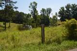 1722 Winding Blade Road - Photo 21