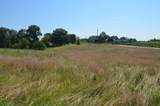 1722 Winding Blade Road - Photo 9