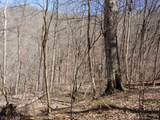 0 Birch Hollow Road - Photo 1