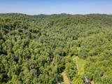 1995 Lower Cane Creek Road - Photo 48