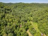 1995 Lower Cane Creek Road - Photo 50