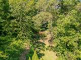 1995 Lower Cane Creek Road - Photo 53