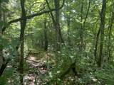 2750 Shadrick Ferry Road - Photo 2