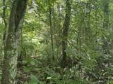 2750 Shadrick Ferry Road - Photo 4