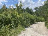 2750 Shadrick Ferry Road - Photo 5
