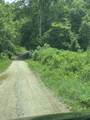 20ac Little Rock Creek Road Road - Photo 5