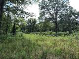1150 Logan Hollow-Copperas Branch Road - Photo 6