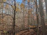 0 Hatton Creek Road - Photo 4