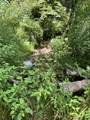 0 Woolum Disappointment Hollow Road - Photo 10