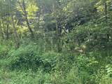 0 Woolum Disappointment Hollow Road - Photo 14