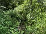 0 Woolum Disappointment Hollow Road - Photo 15
