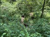 0 Woolum Disappointment Hollow Road - Photo 16