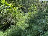 0 Woolum Disappointment Hollow Road - Photo 17