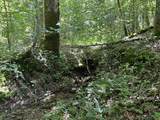 0 Woolum Disappointment Hollow Road - Photo 19