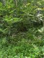 0 Woolum Disappointment Hollow Road - Photo 20