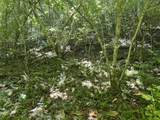 0 Woolum Disappointment Hollow Road - Photo 21