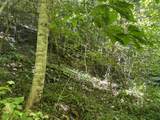0 Woolum Disappointment Hollow Road - Photo 22