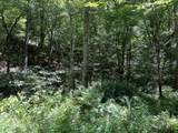 0 Woolum Disappointment Hollow Road - Photo 23