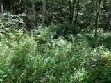 0 Woolum Disappointment Hollow Road - Photo 24